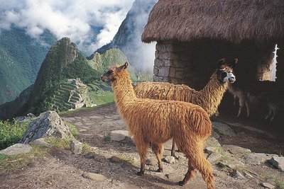 Peru, foto z dovolené